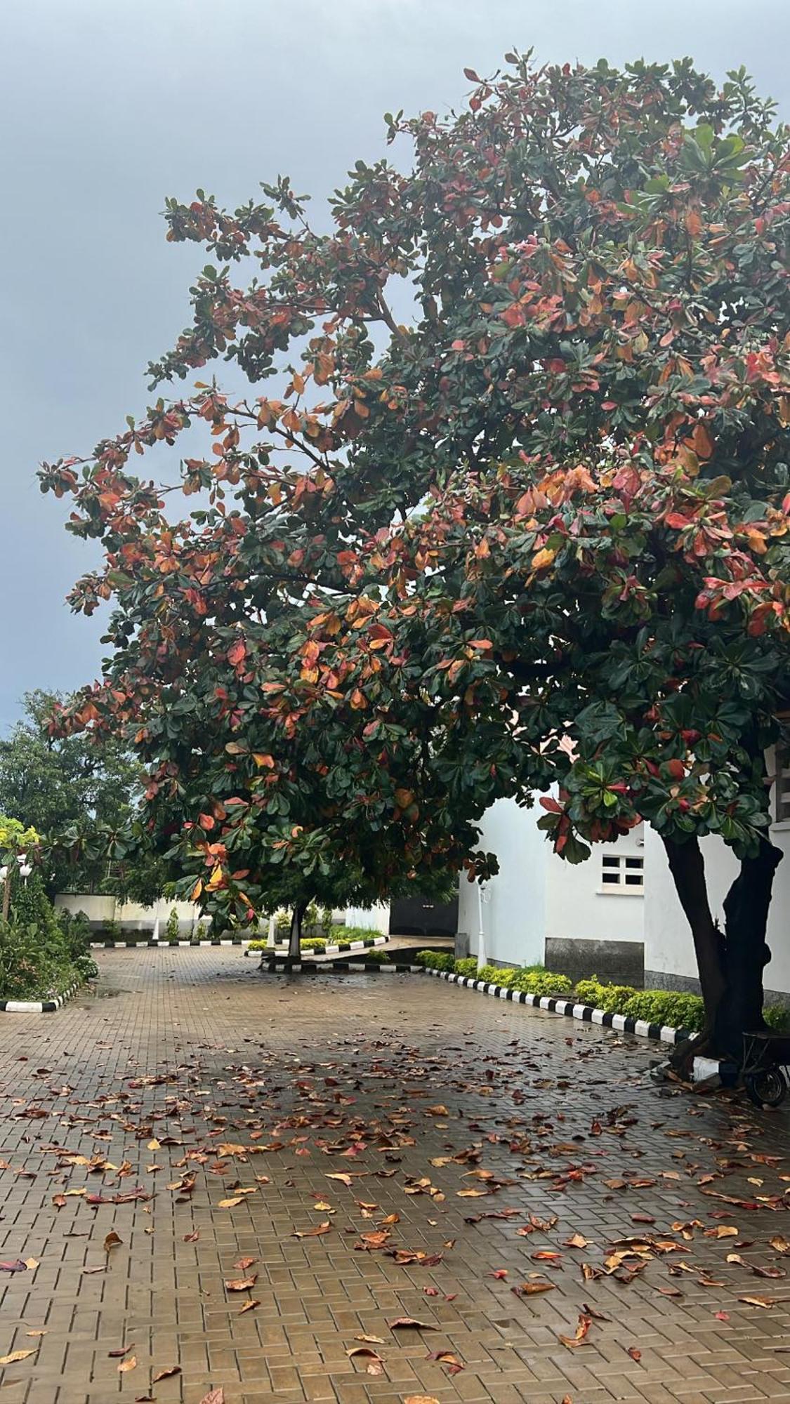 House 21 Kaduna Exterior foto
